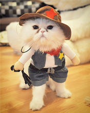 Load image into Gallery viewer, Funny Cat Costume / 4 Sizes