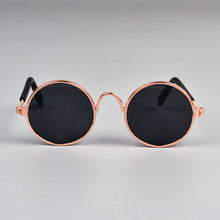 Load image into Gallery viewer, 1Pcs Pet Products Eye-wear