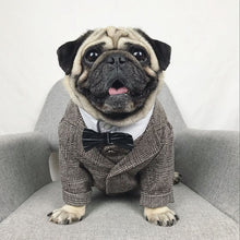 Load image into Gallery viewer, Formal Dog Clothes Wedding XS-XXL