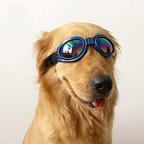Pet Dog Adjustable UV Sunglasses Blue Eye-wear