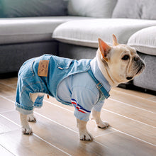 Load image into Gallery viewer, Puppy Costume Pug Dogs Jacket