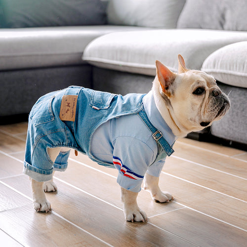 Puppy Costume Pug Dogs Jacket
