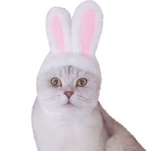 Load image into Gallery viewer, Cat Clothes Costume Bunny Rabbit