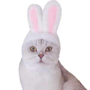 Cat Clothes Costume Bunny Rabbit