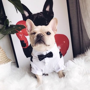 Dog Wedding Clothes Dog Suit  For Dogs